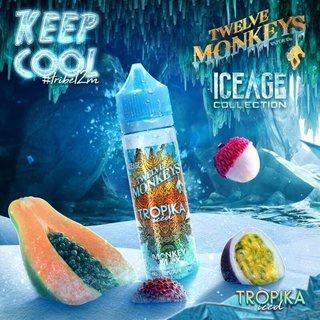 Twelve Monkeys Ice Age E-Liquid 50ml Shortfill